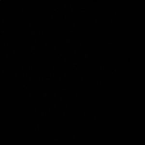 Meet your Posher, Bella